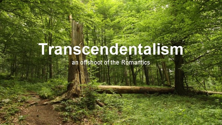 Transcendentalism an offshoot of the Romantics 