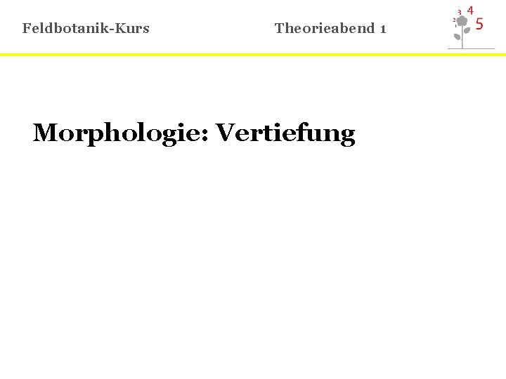 Feldbotanik-Kurs Theorieabend 1 Morphologie: Vertiefung 