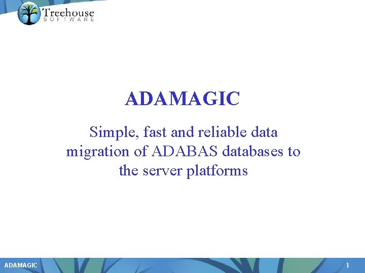 ADAMAGIC Simple fast and reliable data migration of