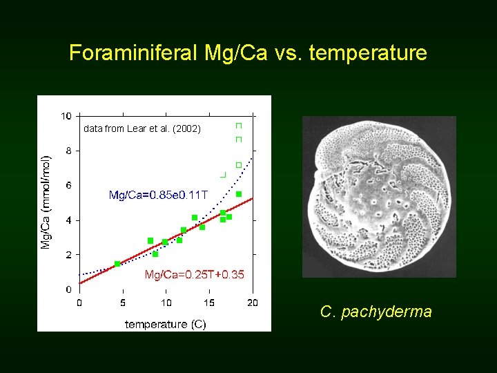 Foraminiferal Mg/Ca vs. temperature data from Lear et al. (2002) C. pachyderma 