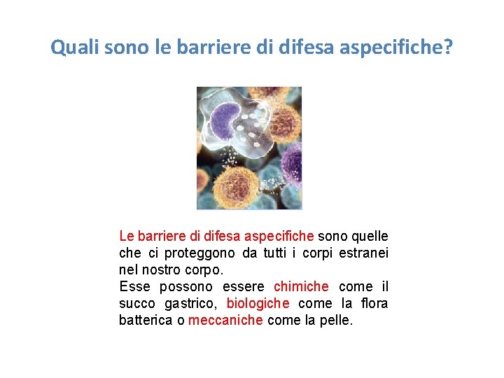Quali sono le barriere di difesa aspecifiche? Le barriere di difesa aspecifiche sono quelle