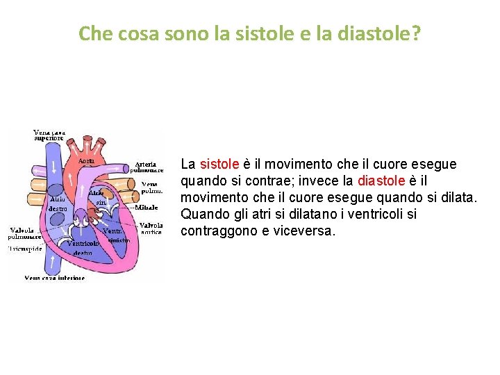 Che cosa sono la sistole e la diastole? La sistole è il movimento che