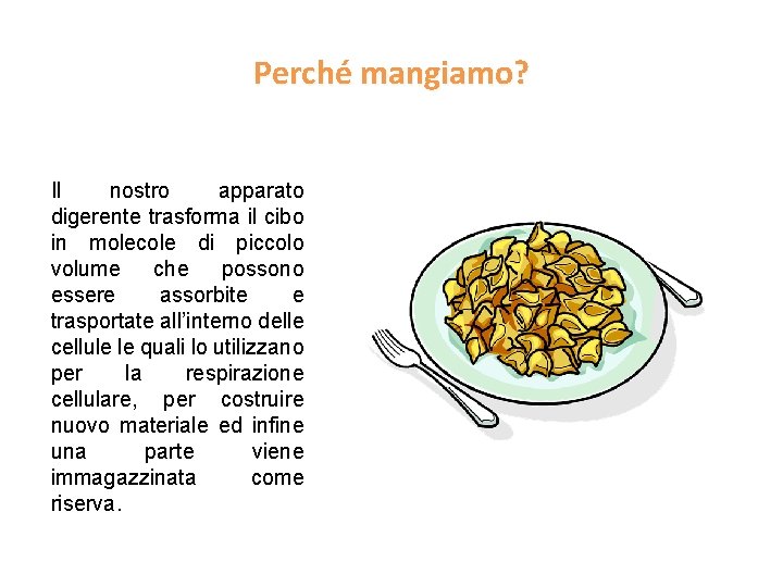 Perché mangiamo? Il nostro apparato digerente trasforma il cibo in molecole di piccolo volume