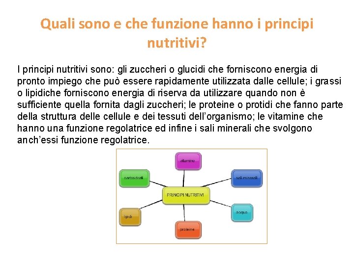 Quali sono e che funzione hanno i principi nutritivi? I principi nutritivi sono: gli