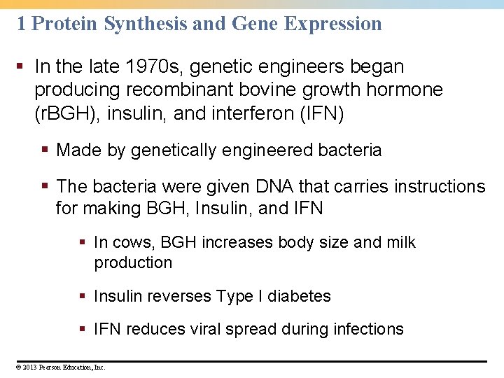 1 Protein Synthesis and Gene Expression § In the late 1970 s, genetic engineers