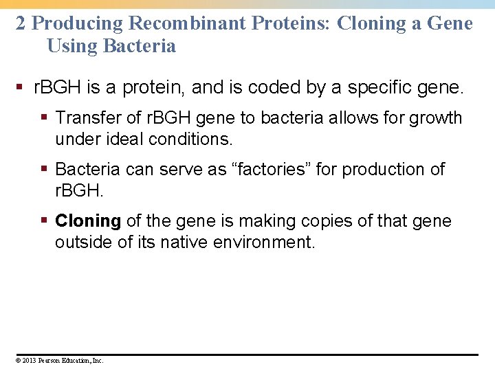 2 Producing Recombinant Proteins: Cloning a Gene Using Bacteria § r. BGH is a