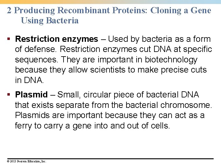 2 Producing Recombinant Proteins: Cloning a Gene Using Bacteria § Restriction enzymes – Used