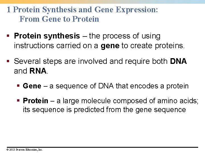 1 Protein Synthesis and Gene Expression: From Gene to Protein § Protein synthesis –