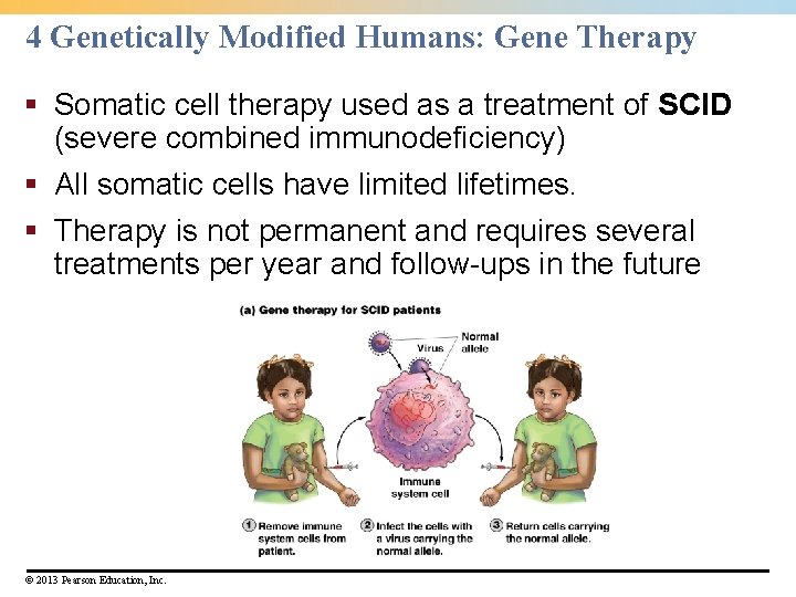 4 Genetically Modified Humans: Gene Therapy § Somatic cell therapy used as a treatment