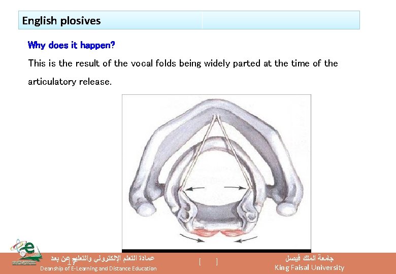 English plosives Why does it happen? This is the result of the vocal folds