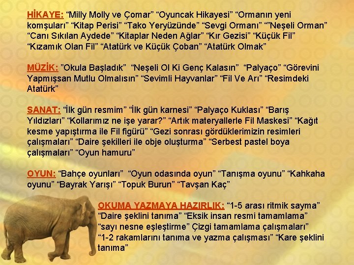 HİKAYE: “Milly Molly ve Çomar” “Oyuncak Hikayesi” “Ormanın yeni komşuları” “Kitap Perisi” “Tako Yeryüzünde”