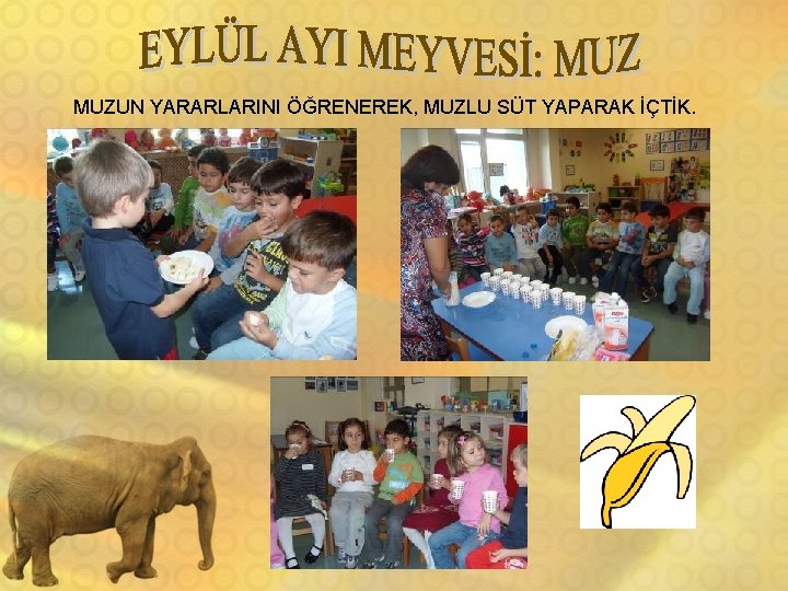 MUZUN YARARLARINI ÖĞRENEREK, MUZLU SÜT YAPARAK İÇTİK. 