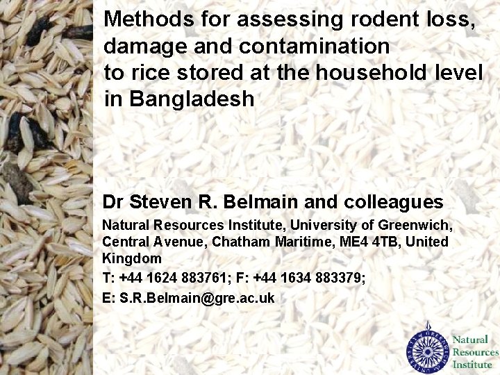 Methods for assessing rodent loss, damage and contamination to rice stored at the household Methods for assessing rodent loss, damage and contamination to rice stored at the household