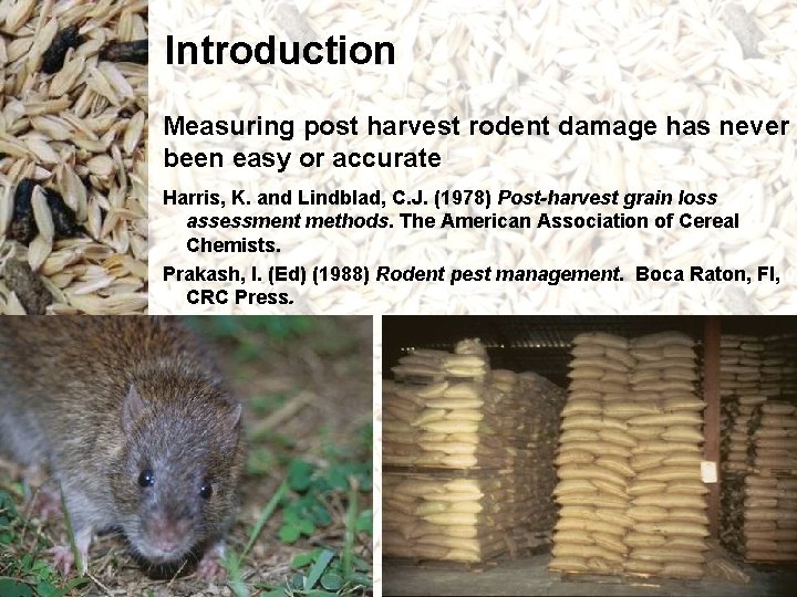 Introduction Measuring post harvest rodent damage has never been easy or accurate Harris, K. Introduction Measuring post harvest rodent damage has never been easy or accurate Harris, K.