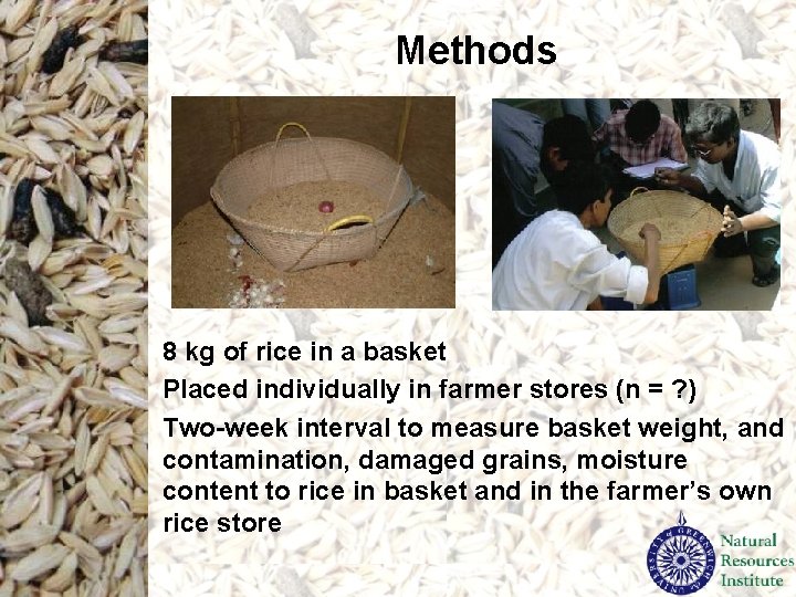 Methods 8 kg of rice in a basket Placed individually in farmer stores (n Methods 8 kg of rice in a basket Placed individually in farmer stores (n