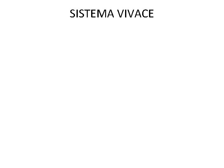 SISTEMA VIVACE 