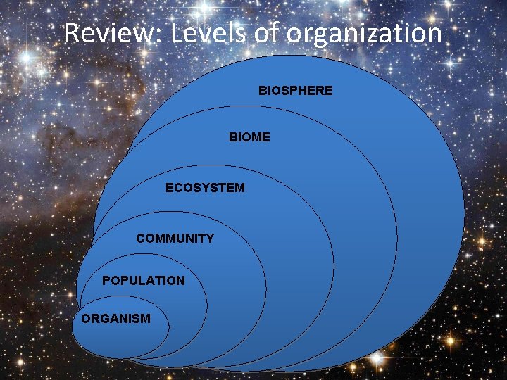 Review: Levels of organization BIOSPHERE BIOME ECOSYSTEM COMMUNITY POPULATION ORGANISM 
