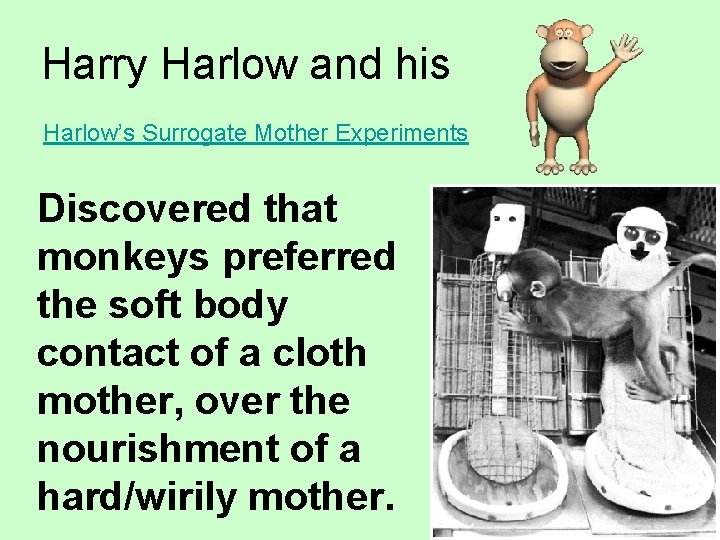 Harry Harlow and his Harlow’s Surrogate Mother Experiments Discovered that monkeys preferred the soft