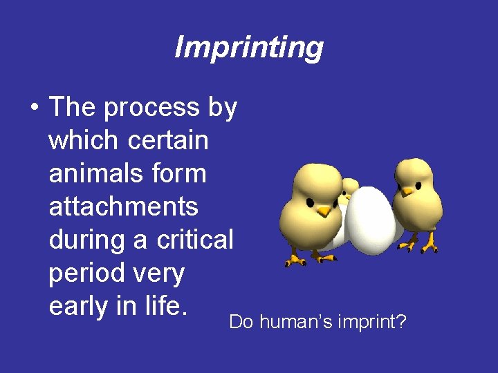 Imprinting • The process by which certain animals form attachments during a critical period