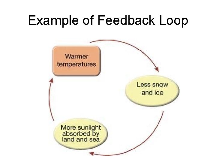 Example of Feedback Loop Example of Feedback Loop