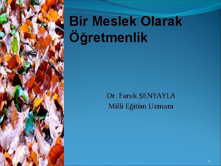 Bir Meslek Olarak Öğretmenlik Dr. Faruk ŞENYAYLA Milli Eğitim Uzmanı 1 