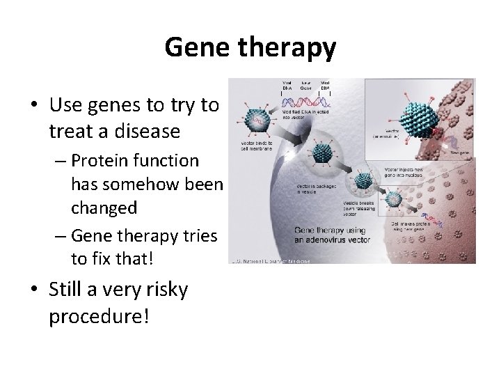 Gene therapy • Use genes to try to treat a disease – Protein function