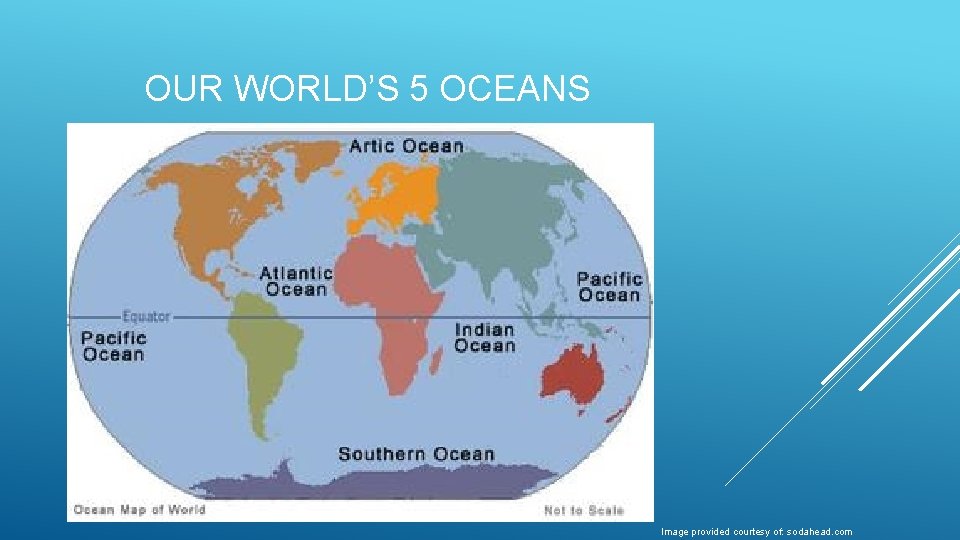 OUR WORLD’S 5 OCEANS Image provided courtesy of: sodahead. com 