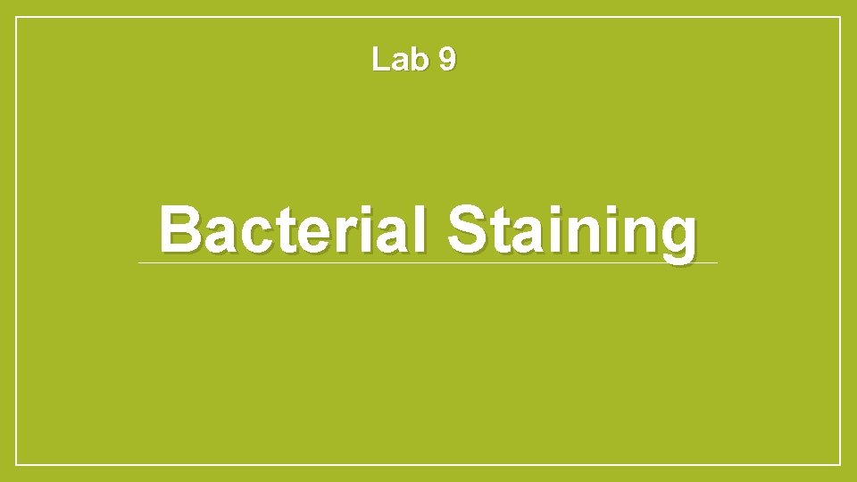 Lab 9 Bacterial Staining 