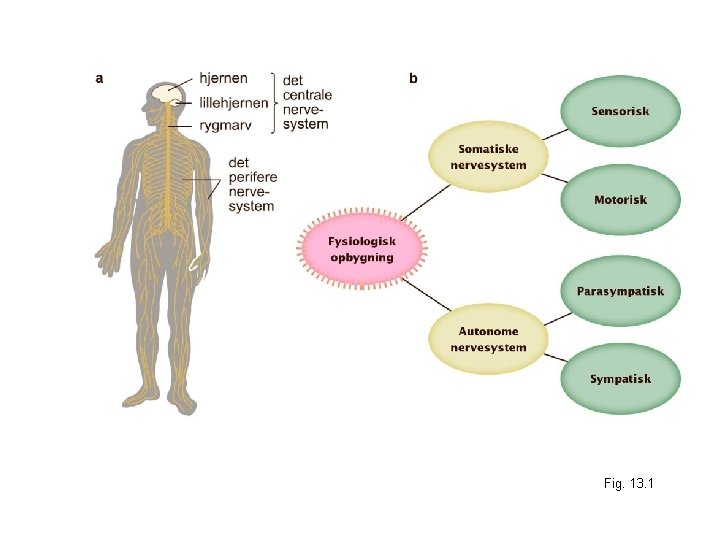 Fig. 13. 1 