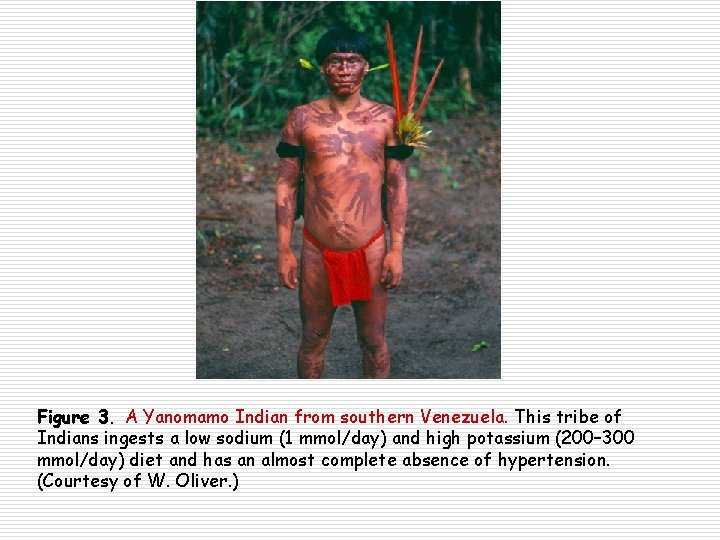 Figure 3. A Yanomamo Indian from southern Venezuela. This tribe of Indians ingests a