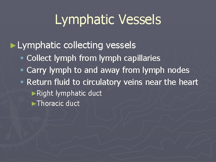 Lymphatic Vessels ► Lymphatic collecting vessels § Collect lymph from lymph capillaries § Carry