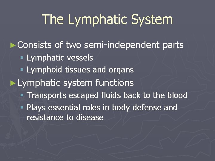 The Lymphatic System ► Consists of two semi-independent parts § Lymphatic vessels § Lymphoid