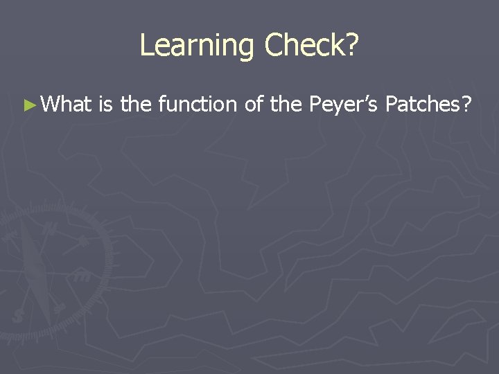 Learning Check? ► What is the function of the Peyer’s Patches? 