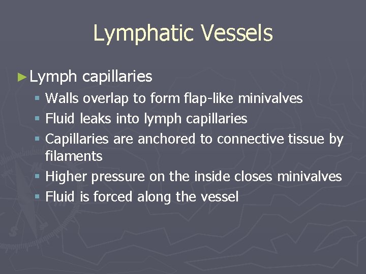 Lymphatic Vessels ► Lymph capillaries § Walls overlap to form flap-like minivalves § Fluid