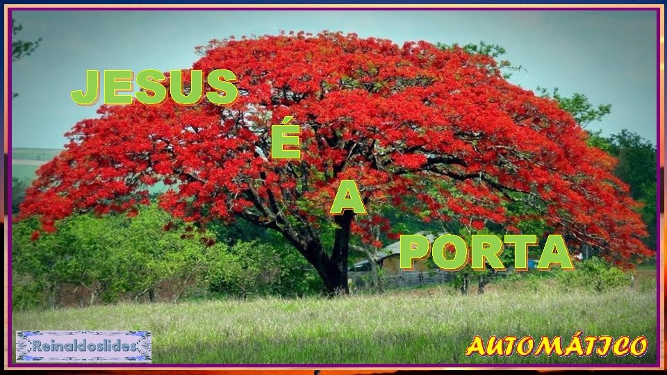 JESUS É A PORTA 