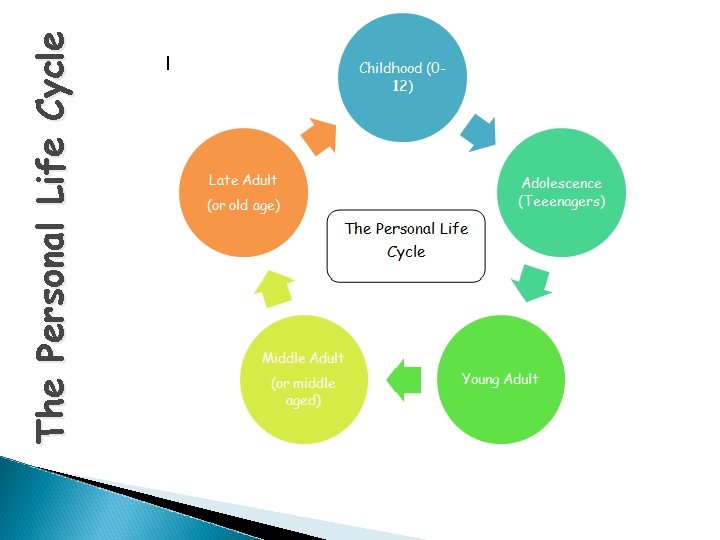 The Personal Life Cycle 