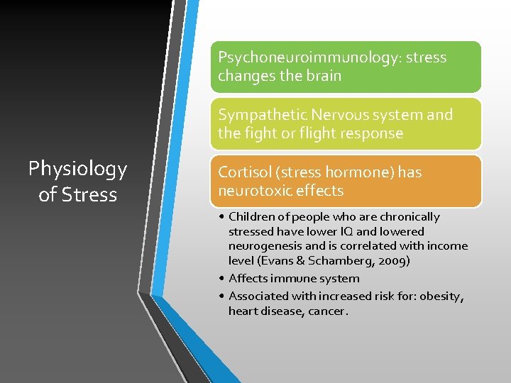 Psychoneuroimmunology: stress changes the brain Sympathetic Nervous system and the fight or flight response