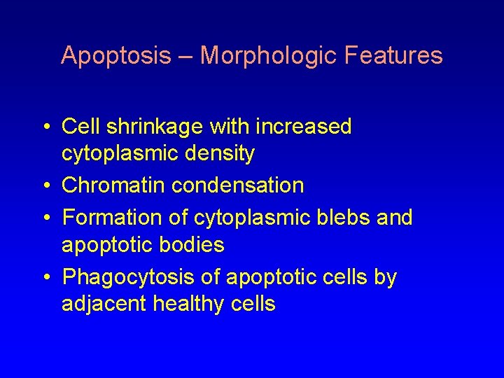 Apoptosis – Morphologic Features • Cell shrinkage with increased cytoplasmic density • Chromatin condensation