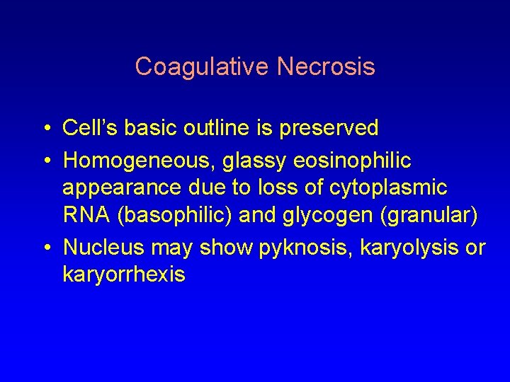 Coagulative Necrosis • Cell’s basic outline is preserved • Homogeneous, glassy eosinophilic appearance due