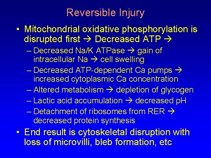 Reversible Injury • Mitochondrial oxidative phosphorylation is disrupted first Decreased ATP – Decreased Na/K