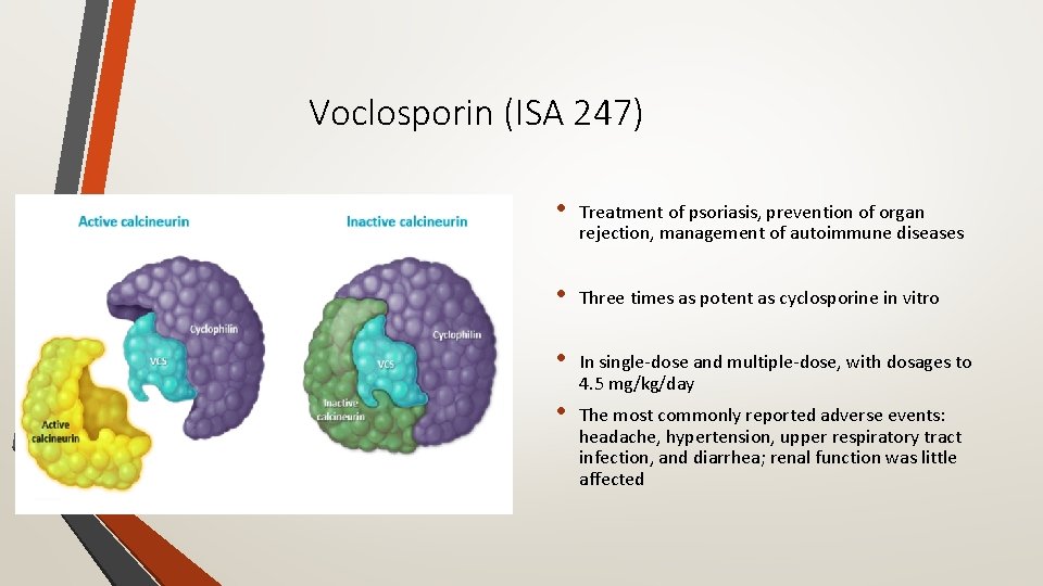 Voclosporin (ISA 247) • Treatment of psoriasis, prevention of organ rejection, management of autoimmune