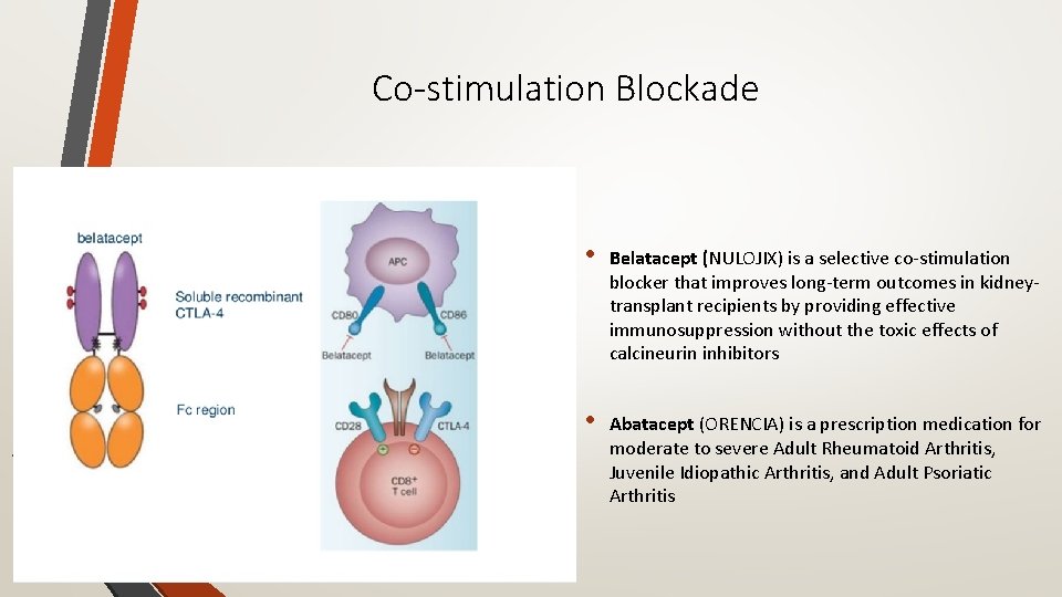Co-stimulation Blockade • Belatacept (NULOJIX) is a selective co‐stimulation blocker that improves long‐term outcomes