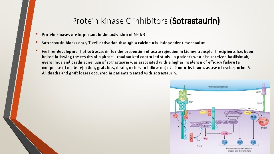 Protein kinase C inhibitors (Sotrastaurin) • • • Protein kinases are important in the