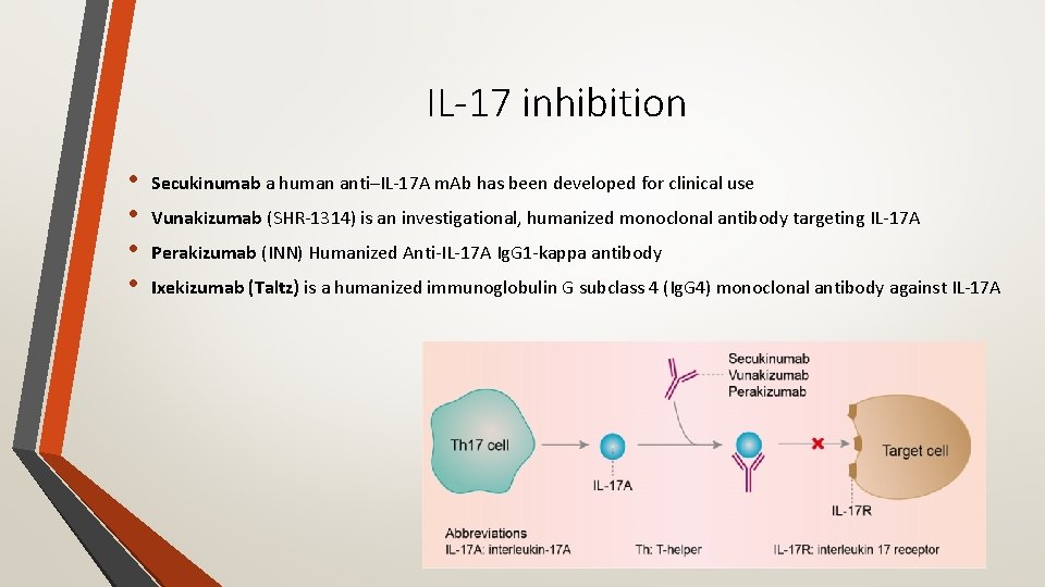 IL-17 inhibition • • Secukinumab a human anti–IL‐ 17 A m. Ab has been