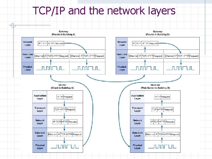 TCP/IP and the network layers 