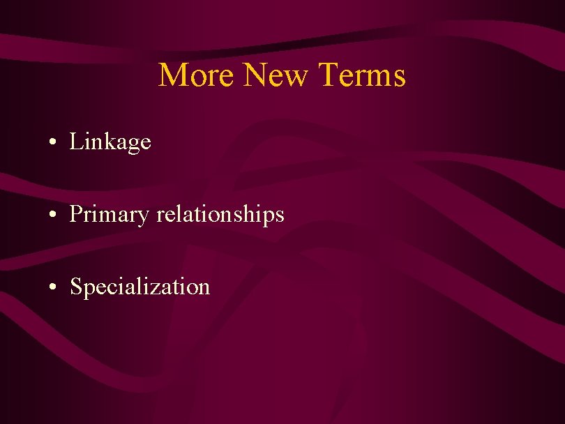 More New Terms • Linkage • Primary relationships • Specialization 