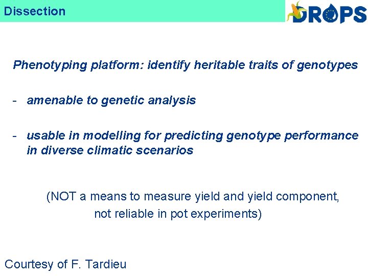Dissection DROPS Phenotyping platform: identify heritable traits of genotypes - amenable to genetic analysis Dissection DROPS Phenotyping platform: identify heritable traits of genotypes - amenable to genetic analysis