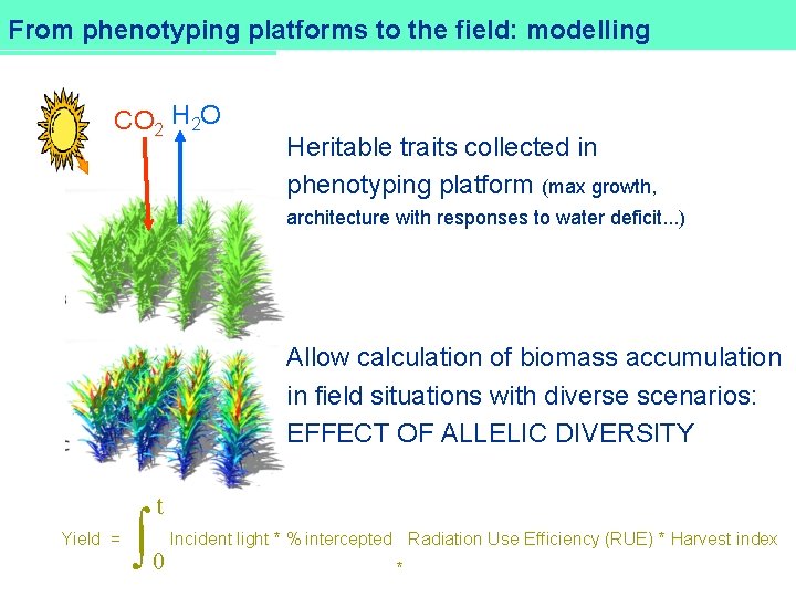 DROPS From phenotyping platforms to the field: modelling CO 2 H 2 O Heritable