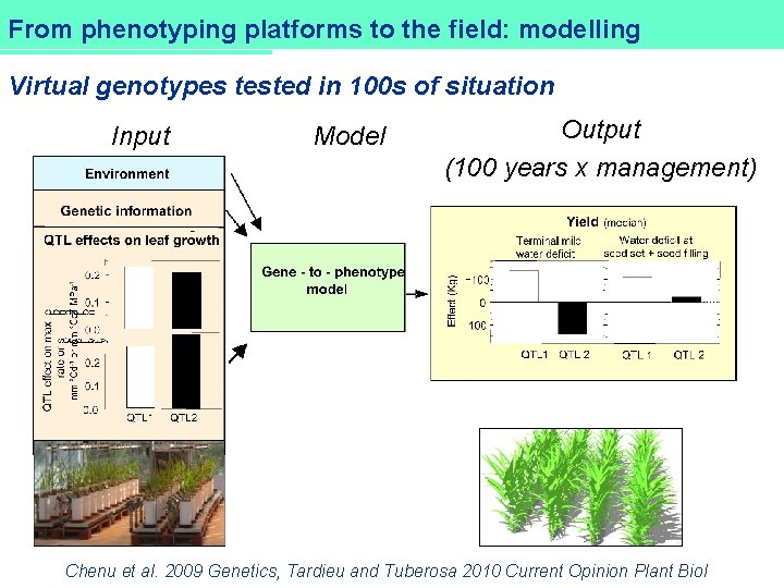 DROPS From phenotyping platforms to the field: modelling Virtual genotypes tested in 100 s