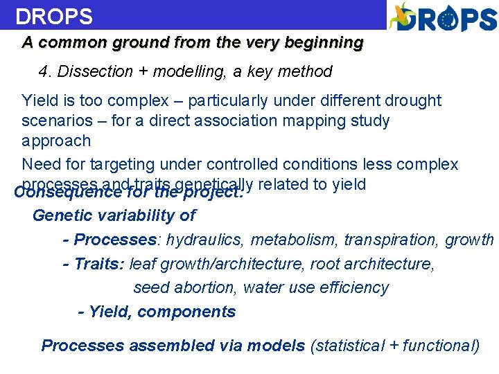 DROPS A common ground from the very beginning 4. Dissection + modelling, a key